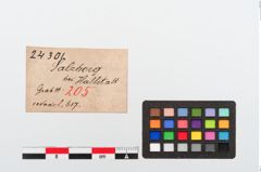 Etiketten zu Bronzerollenkopfnadel (NHMW-PRAE-024301)
